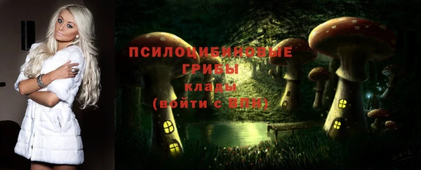 мескалин Арсеньев