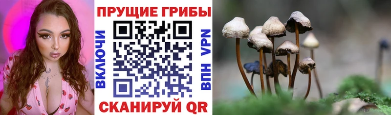 Галлюциногенные грибы MAGIC MUSHROOMS  Мещовск 