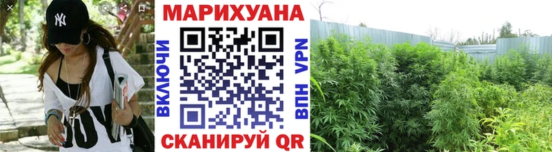 Конопля марихуана  Мещовск 